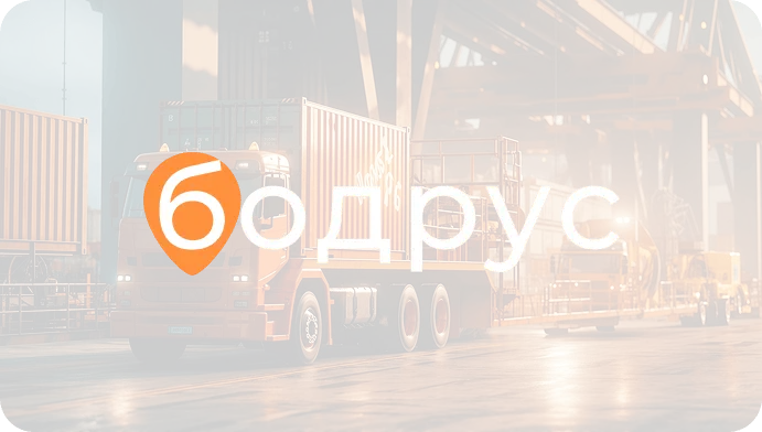 ERP - система для мультимодального 
 грузоперевозчика